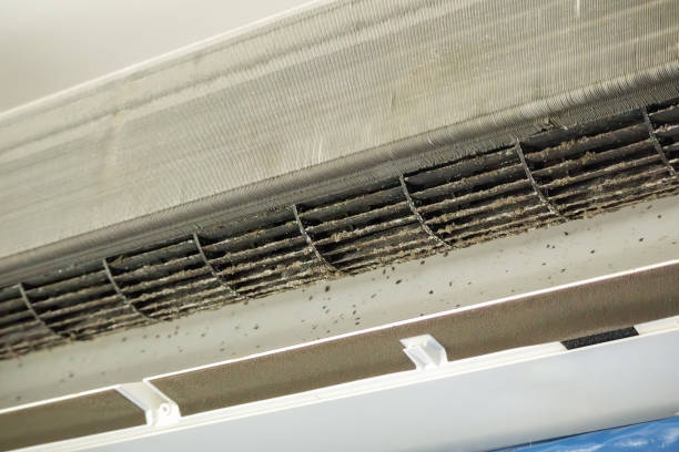 Best Air Filter Replacement Services in Driggs, ID